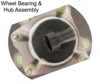 Wheel Bearing & Hub Assembly