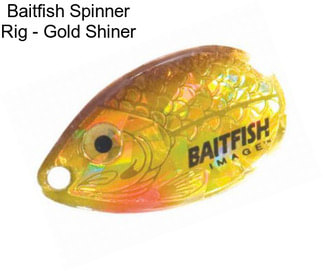 Baitfish Spinner Rig - Gold Shiner