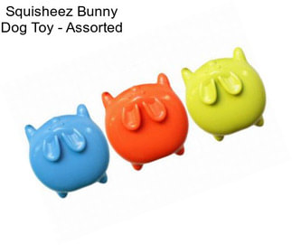Squisheez Bunny Dog Toy - Assorted