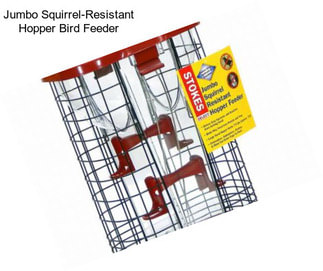 Jumbo Squirrel-Resistant Hopper Bird Feeder