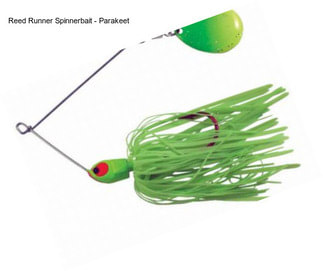 Reed Runner Spinnerbait - Parakeet