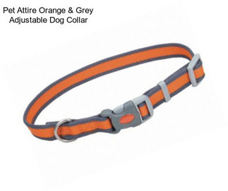 Pet Attire Orange & Grey Adjustable Dog Collar