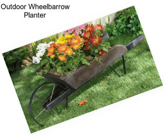 Outdoor Wheelbarrow Planter