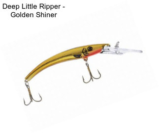 Deep Little Ripper - Golden Shiner