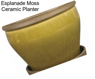 Esplanade Moss Ceramic Planter