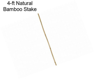 4-ft Natural Bamboo Stake