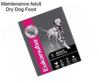 Maintenance Adult Dry Dog Food