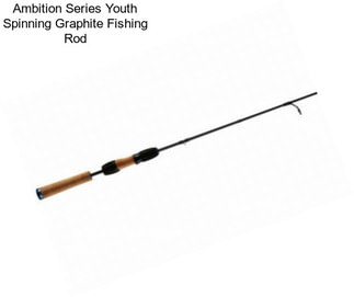 Ambition Series Youth Spinning Graphite Fishing Rod