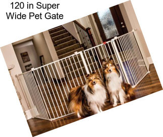 120 in Super Wide Pet Gate