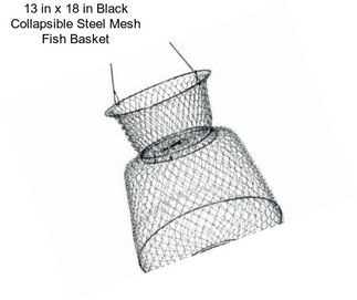 13 in x 18 in Black Collapsible Steel Mesh Fish Basket