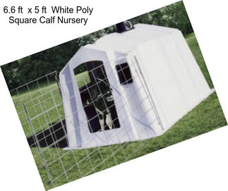 6.6 ft  x 5 ft  White Poly Square Calf Nursery