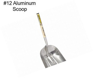 #12 Aluminum Scoop