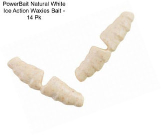 PowerBait Natural White Ice Action Waxies Bait - 14 Pk