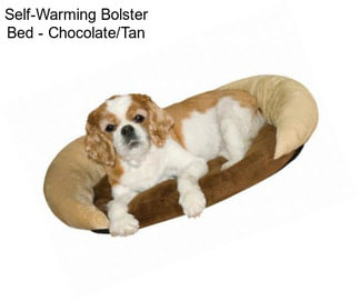 Self-Warming Bolster Bed - Chocolate/Tan