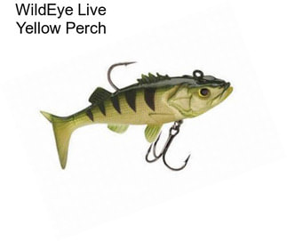 WildEye Live Yellow Perch