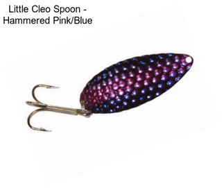 Little Cleo Spoon - Hammered Pink/Blue