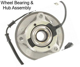 Wheel Bearing & Hub Assembly