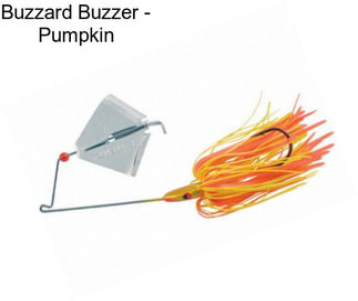 Buzzard Buzzer - Pumpkin