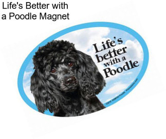 Life\'s Better with a Poodle Magnet