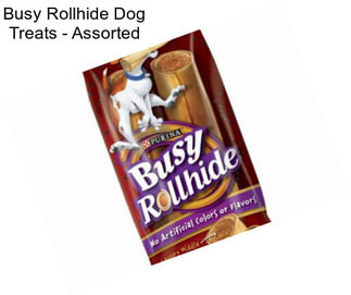 Busy Rollhide Dog Treats - Assorted