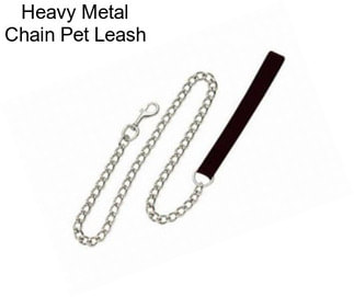 Heavy Metal Chain Pet Leash