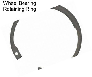 Wheel Bearing Retaining Ring