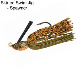 Skirted Swim Jig - Spawner