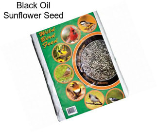 Black Oil Sunflower Seed