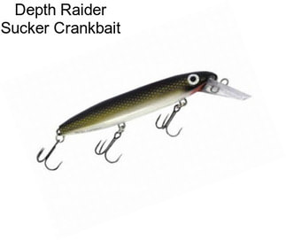 Depth Raider Sucker Crankbait