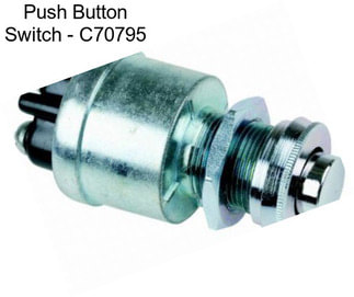 Push Button Switch - C70795