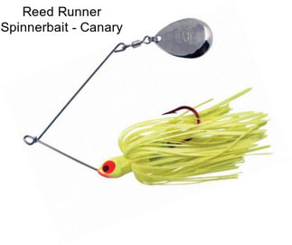 Reed Runner Spinnerbait - Canary