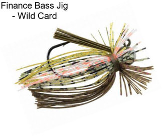 Finance Bass Jig - Wild Card