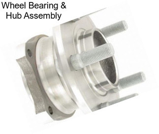 Wheel Bearing & Hub Assembly