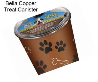 Bella Copper Treat Canister