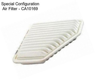 Special Configuration Air Filter - CA10169