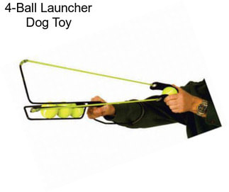 4-Ball Launcher Dog Toy