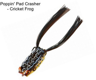 Poppin\' Pad Crasher - Cricket Frog