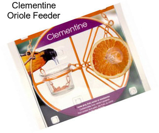 Clementine Oriole Feeder