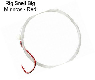 Rig Snell Big Minnow - Red