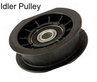 Idler Pulley