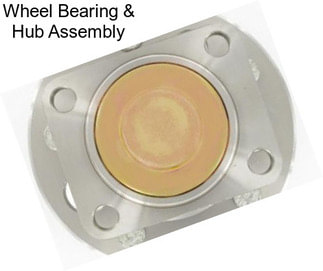 Wheel Bearing & Hub Assembly