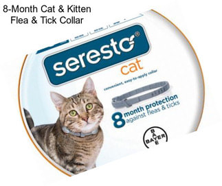 8-Month Cat & Kitten Flea & Tick Collar