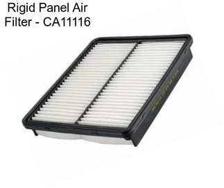 Rigid Panel Air Filter - CA11116