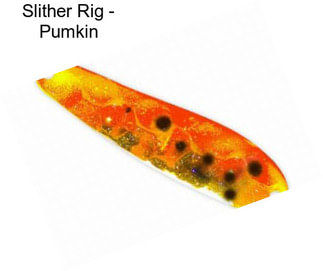 Slither Rig - Pumkin