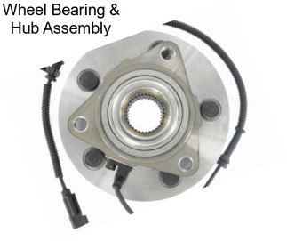 Wheel Bearing & Hub Assembly