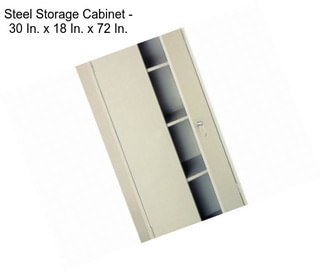 Steel Storage Cabinet - 30 In. x 18 In. x 72 In.