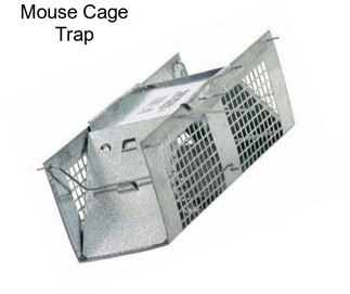 Mouse Cage Trap