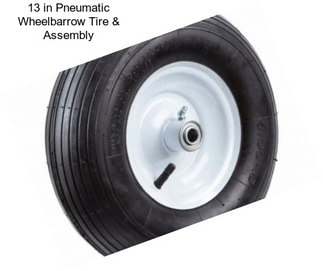 13 in Pneumatic Wheelbarrow Tire & Assembly