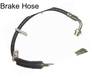 Brake Hose