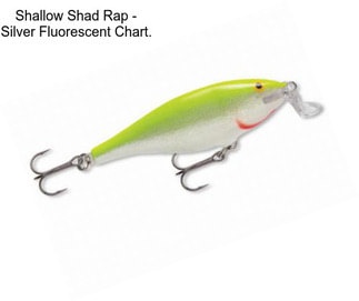 Shallow Shad Rap - Silver Fluorescent Chart.